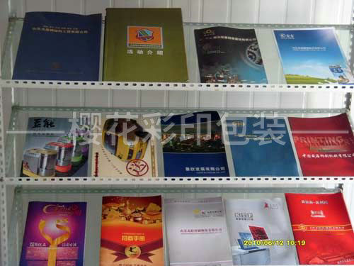 宣傳冊(cè) (2).jpg