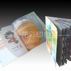 畫(huà)冊(cè)樣本